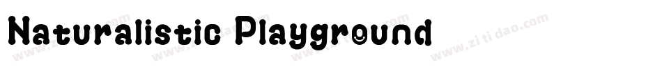 Naturalistic Playground字体转换